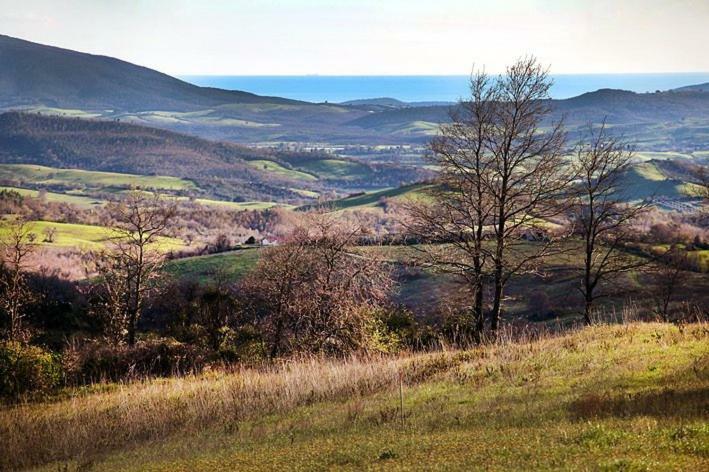 Casale Giacomini Panzió Manciano Kültér fotó