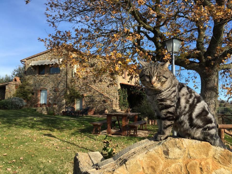 Casale Giacomini Panzió Manciano Kültér fotó